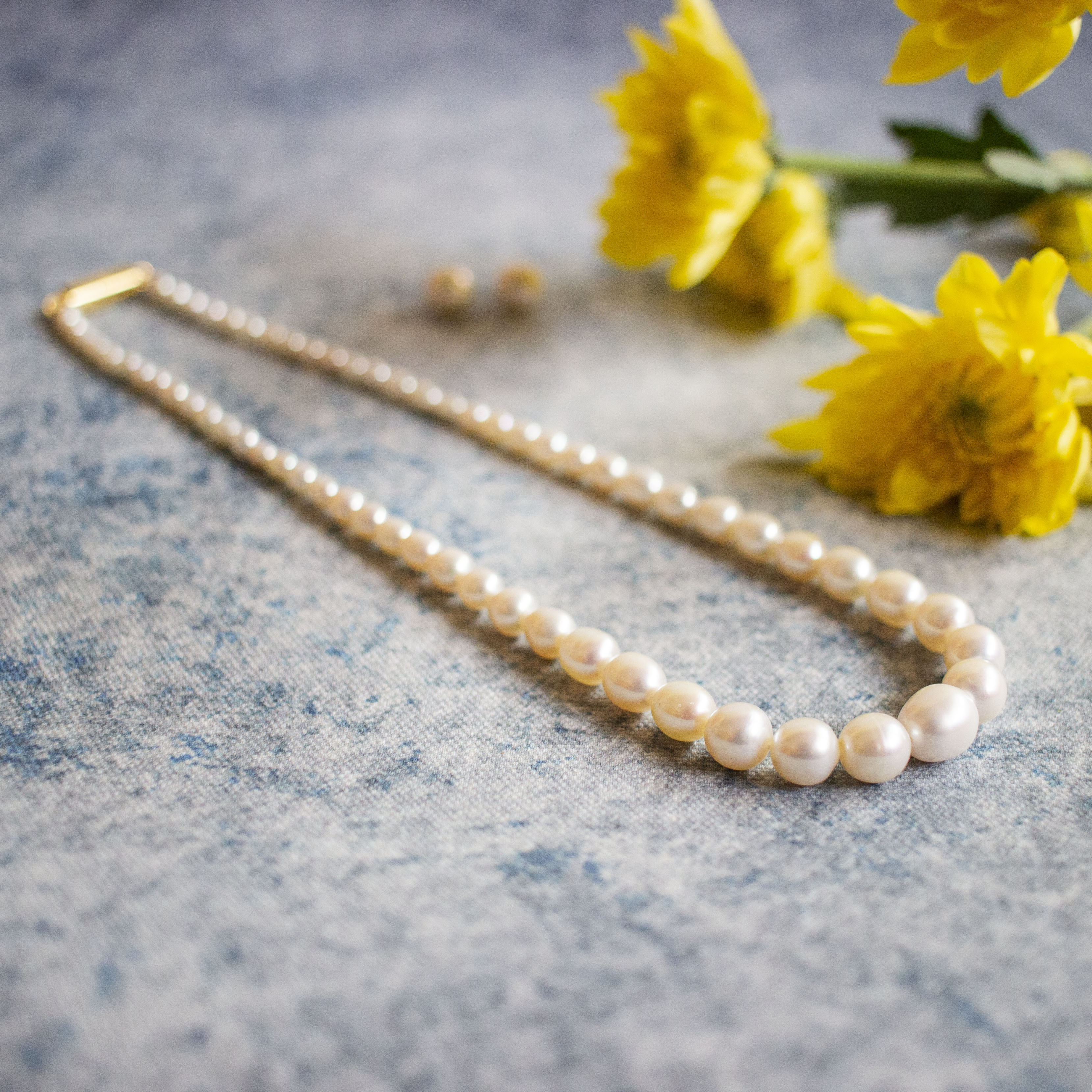 By charlotte pearl necklace Clearance