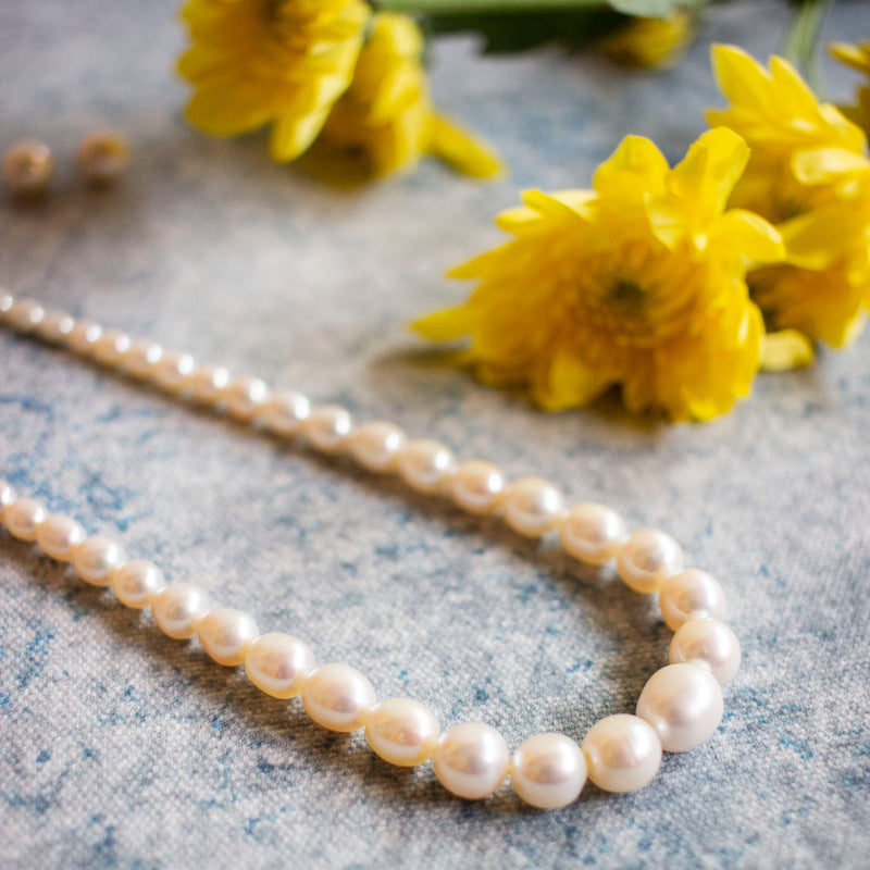 Charlotte - 100% Fresh Water Pearl Necklace